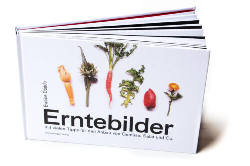 Erntebilder – mit vielen Tipps für den Anbau von Gemüse, Salat und Co.