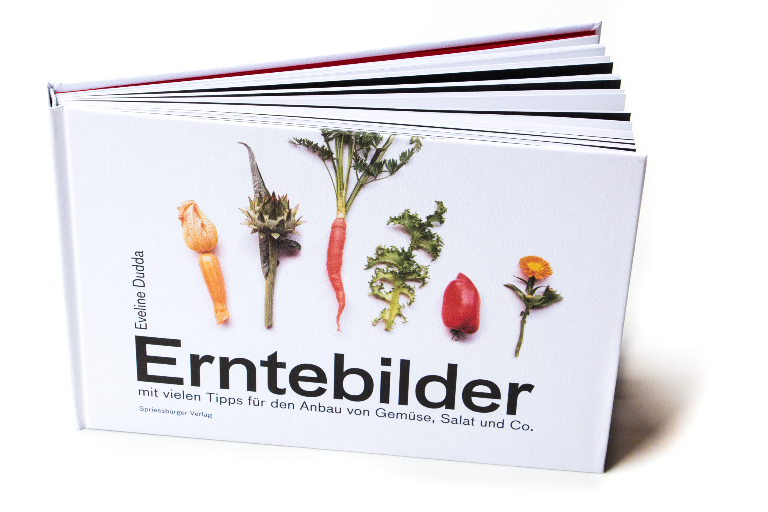 Erntebilder – mit vielen Tipps für den Anbau von Gemüse, Salat und Co.