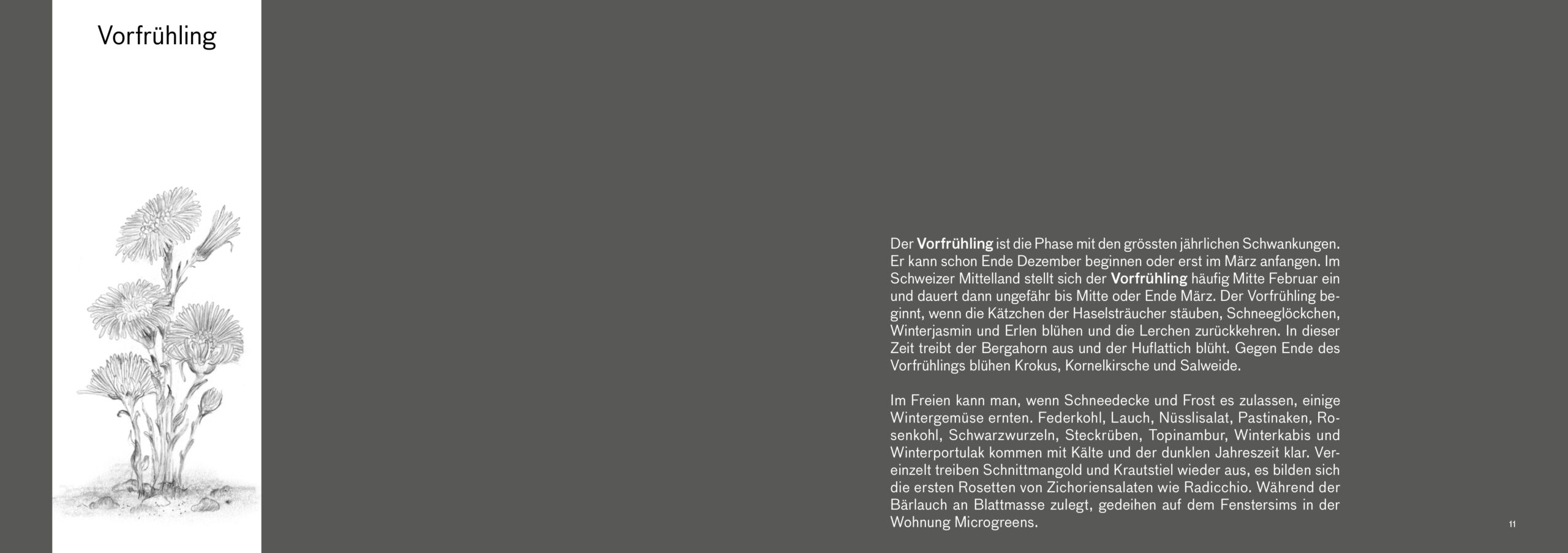 Erntebilder – mit vielen Tipps für den Anbau von Gemüse, Salat und Co. – Bild 3