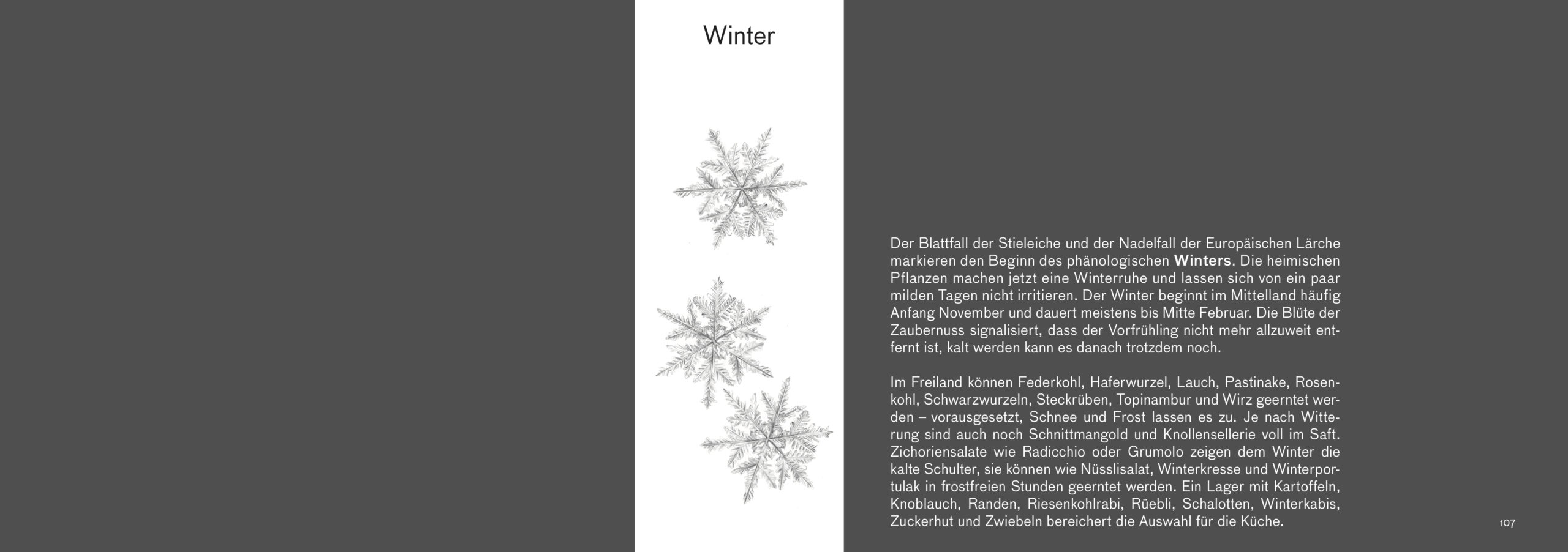 Erntebilder – mit vielen Tipps für den Anbau von Gemüse, Salat und Co. – Bild 12