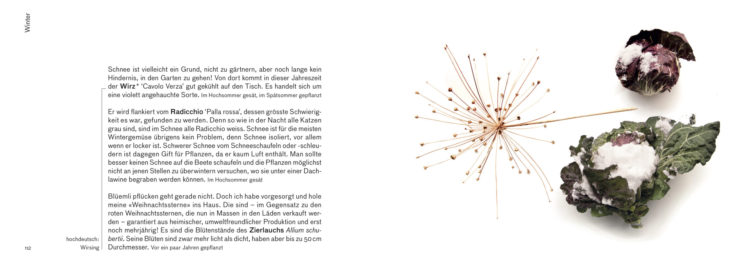 Erntebilder – mit vielen Tipps für den Anbau von Gemüse, Salat und Co. – Bild 13