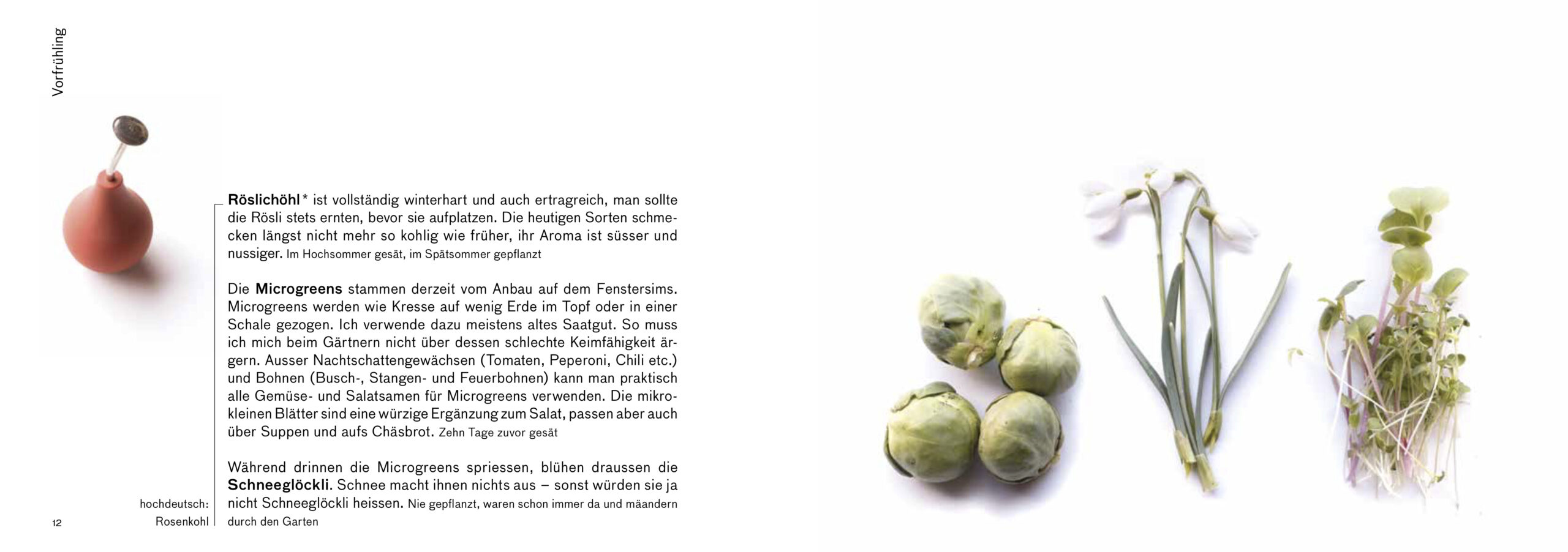 Erntebilder – mit vielen Tipps für den Anbau von Gemüse, Salat und Co. – Bild 4