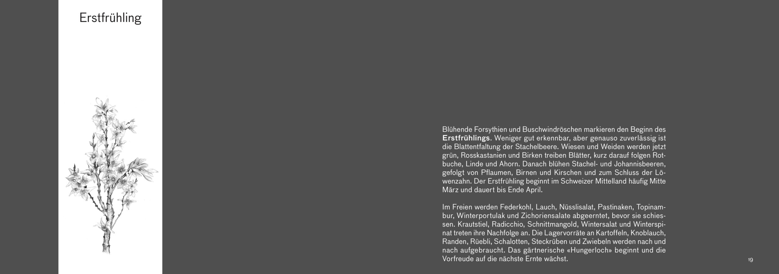 Erntebilder – mit vielen Tipps für den Anbau von Gemüse, Salat und Co. – Bild 5